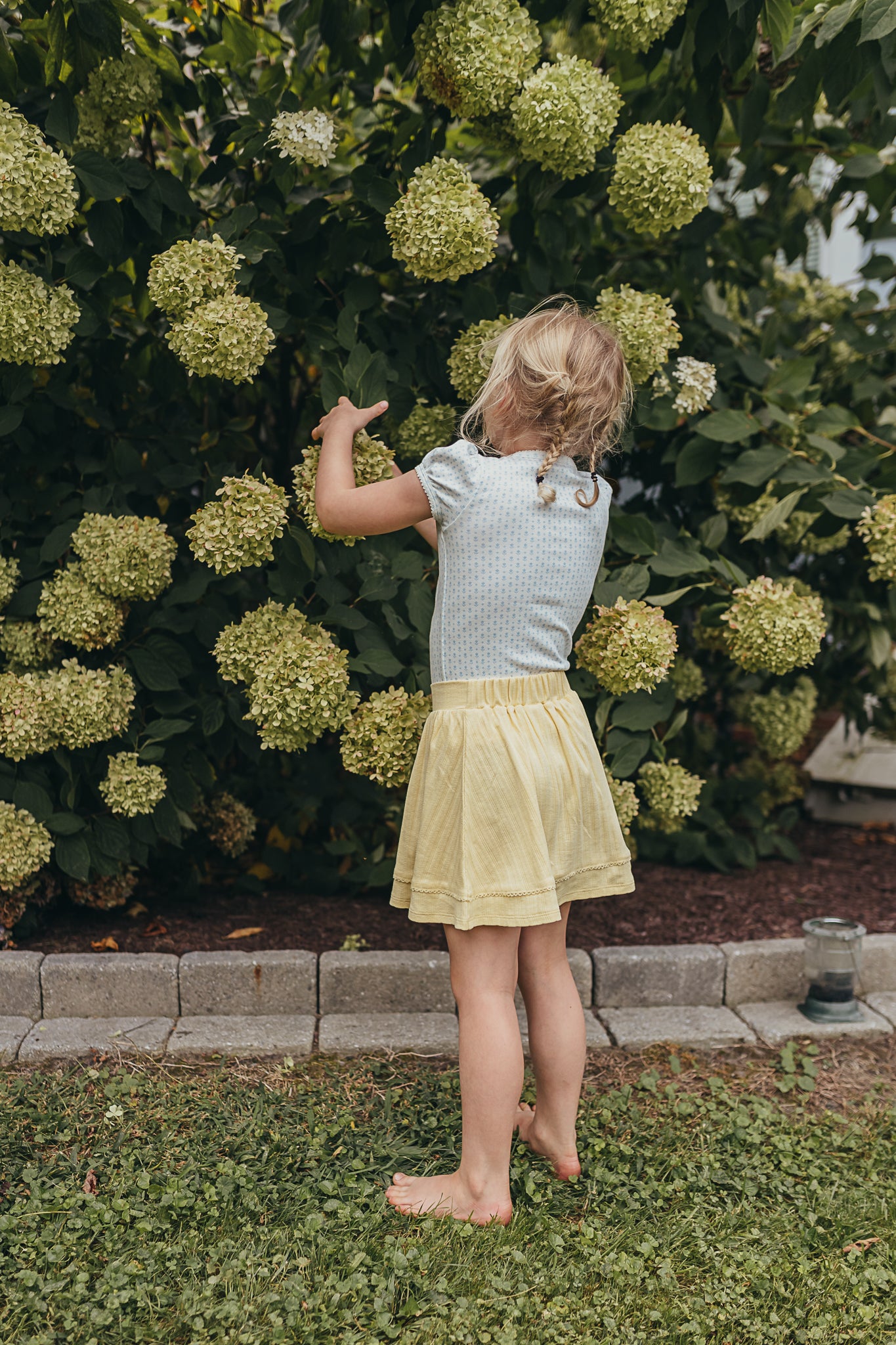 Beaufort Tee | Cornflower Tulips