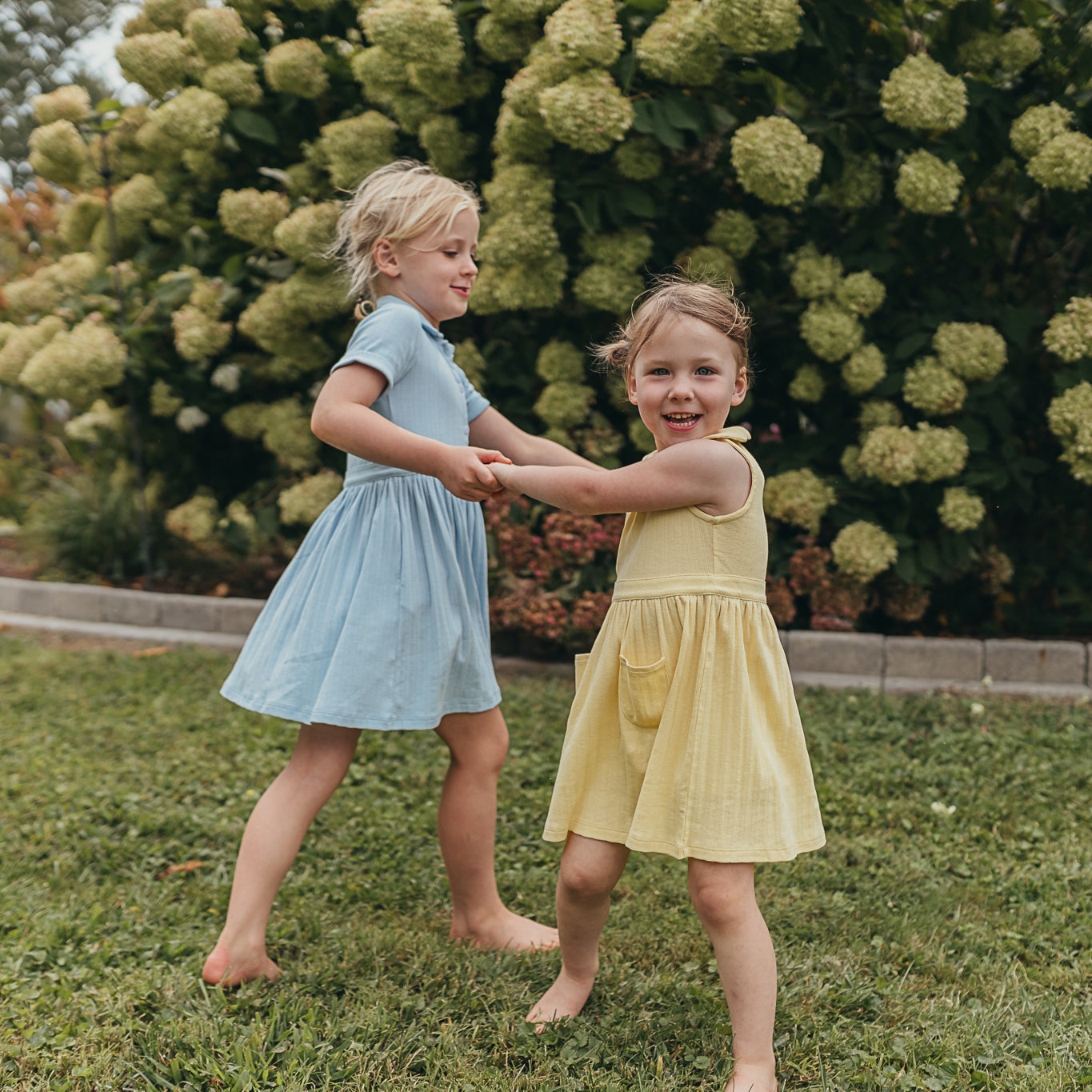 Scallop Collared Dress | Sunshine Pointelle