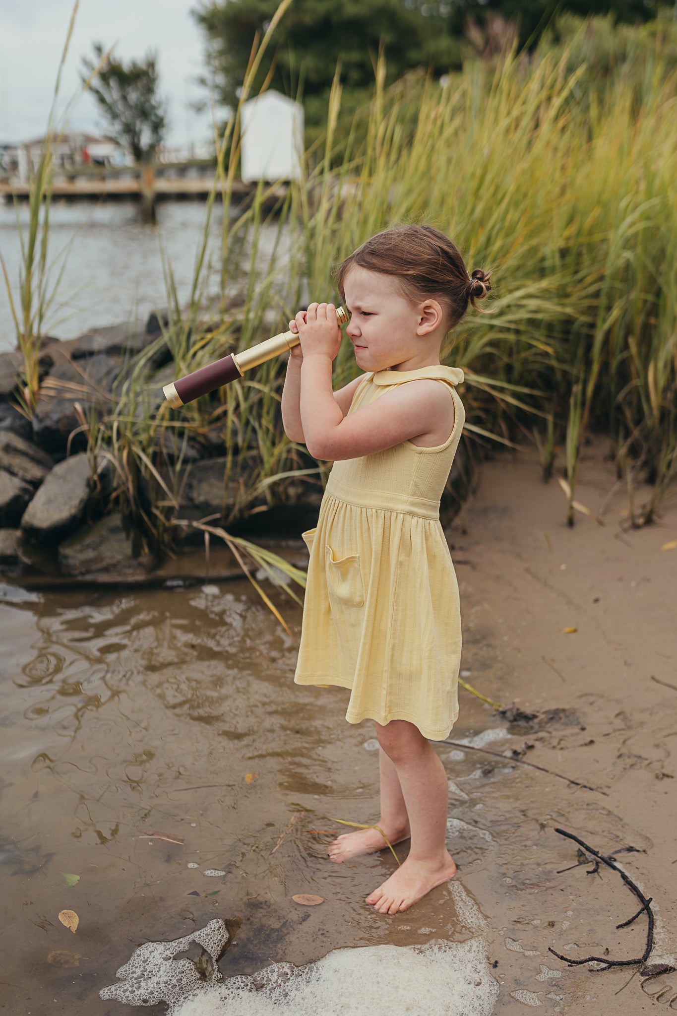 Scallop Collared Dress | Sunshine Pointelle