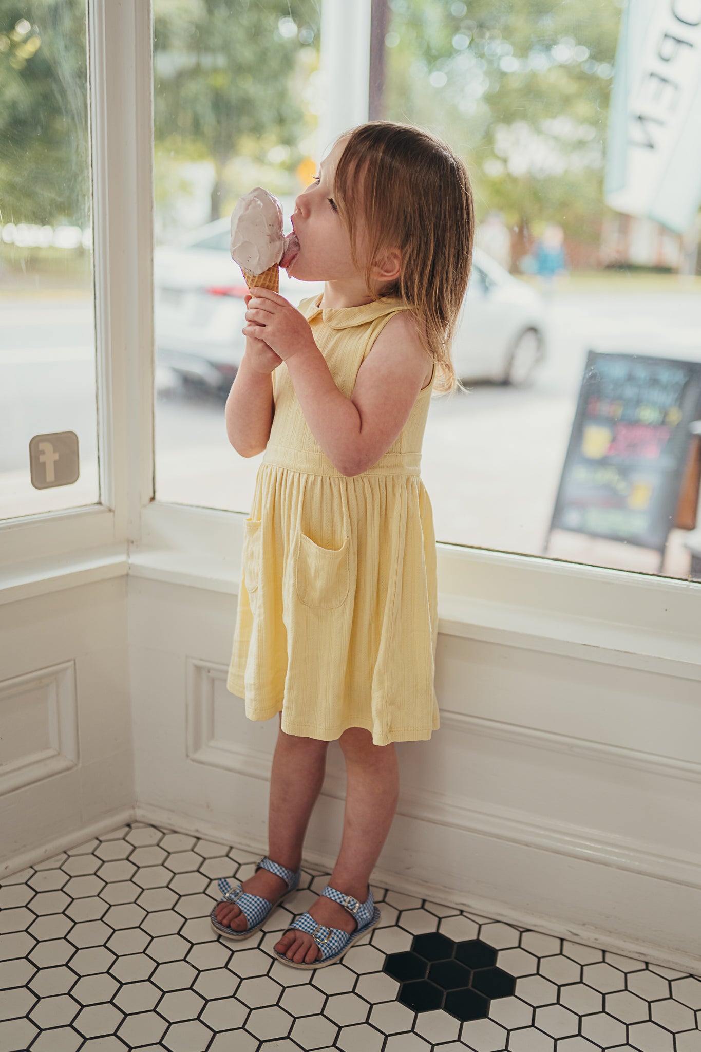 Scallop Collared Dress | Sunshine Pointelle