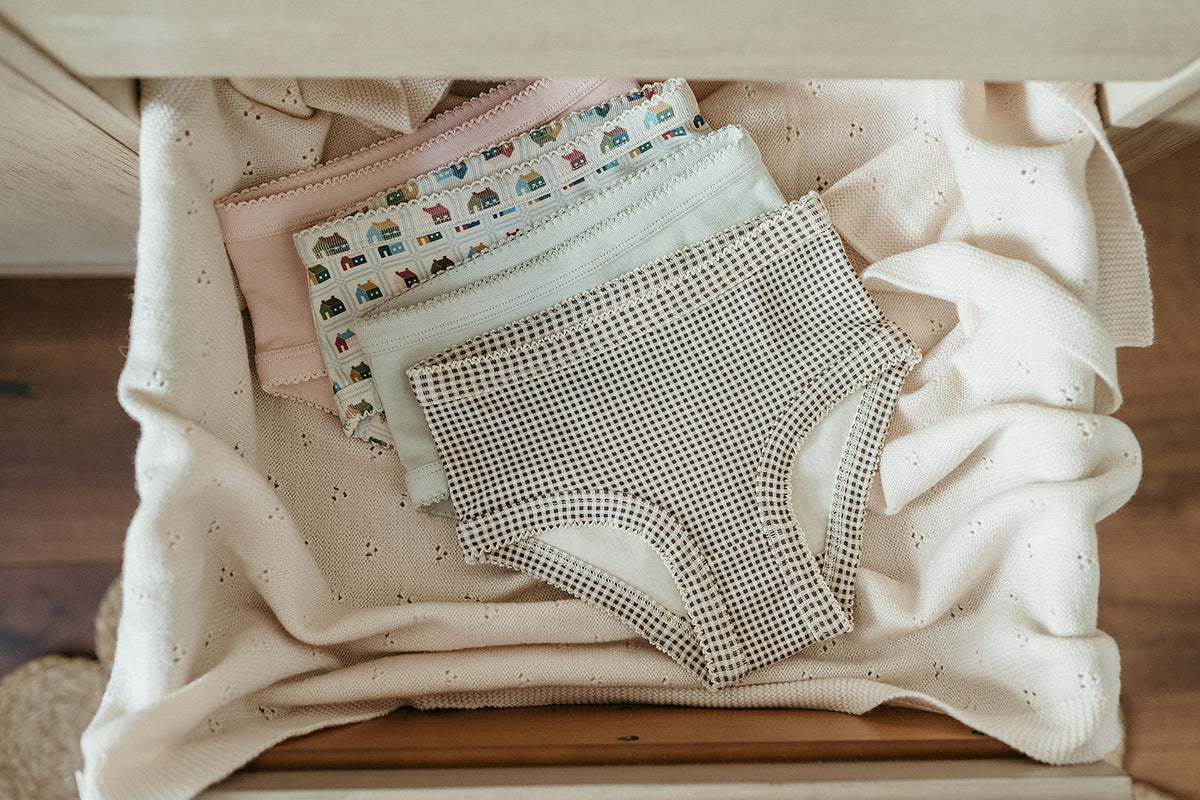 Girls Briefs Set | Schoolhouse Sampler + Glacier