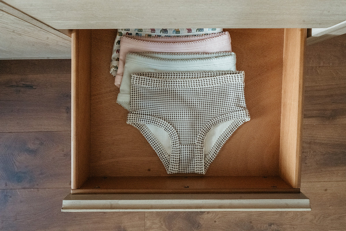Girls Briefs Set | Schoolhouse Sampler + Glacier