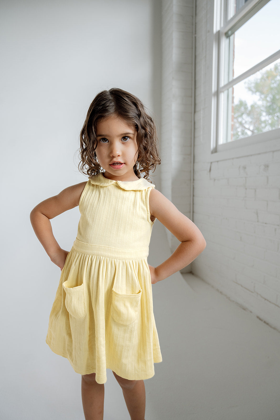 Scallop Collared Dress | Sunshine Pointelle